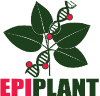 LOGO EPIPLANT