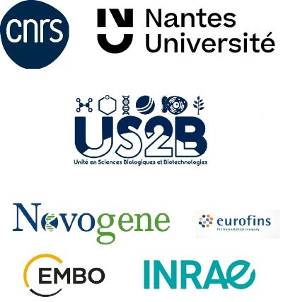 logos combin&eacute;s